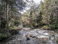 6IMG_20240926_104722-Kopie