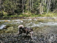 8IMG_20240926_104736-Kopie