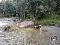 9IMG_20240926_104748-Kopie