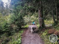 13IMG_20240927_104956-Kopie