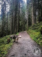 16IMG_20240927_110233-Kopie