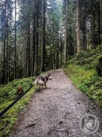 17IMG_20240927_110236-Kopie