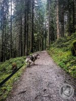 18IMG_20240927_110236_1-Kopie