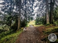 20IMG_20240927_110905-Kopie