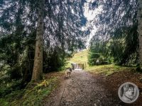 21IMG_20240927_110909-Kopie