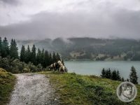 26IMG_20240927_114505-Kopie