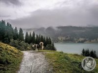 27IMG_20240927_114509-Kopie