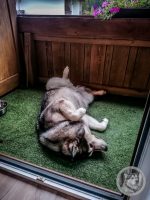 33IMG_20240927_180801-Kopie