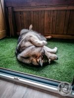 34IMG_20240927_181145-Kopie