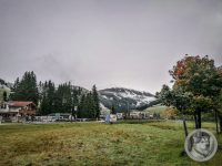 7IMG_20240928_092630-Kopie