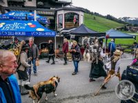 101IMG_20240928_130114-Kopie