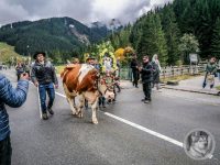 107IMG_20240928_132938-Kopie