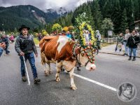 108IMG_20240928_132940-Kopie