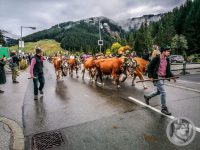 51IMG_20240928_113624-Kopie