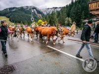 52IMG_20240928_113625-Kopie