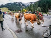 53IMG_20240928_113635-Kopie