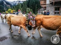 54IMG_20240928_113636-Kopie