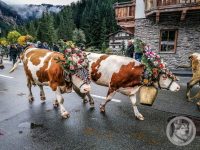 55IMG_20240928_113640-Kopie