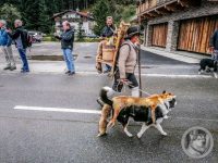 61IMG_20240928_114333-Kopie