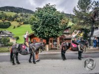 70IMG_20240928_122240-Kopie