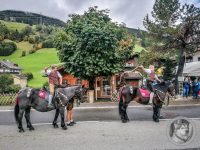 71IMG_20240928_122238-Kopie