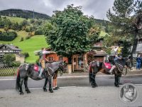 72IMG_20240928_122237-Kopie