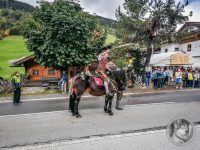 77IMG_20240928_122347-Kopie