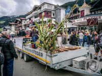 80IMG_20240928_125600-Kopie