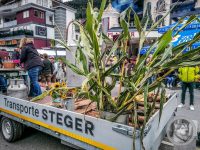 81IMG_20240928_125601-Kopie