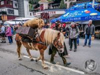 95IMG_20240928_130013-Kopie