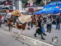 97IMG_20240928_130019-Kopie