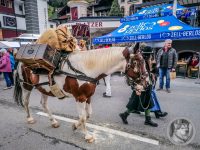 98IMG_20240928_130019_1-Kopie