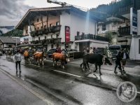 10IMG_20240928_101817-Kopie