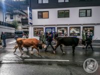 12IMG_20240928_101822-Kopie