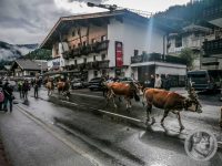 13IMG_20240928_101825-Kopie