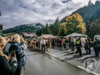 21IMG_20240928_111352-Kopie