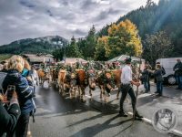 22IMG_20240928_111355_1-Kopie