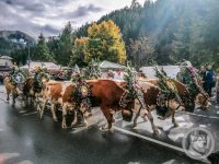 23IMG_20240928_111357_1-Kopie