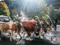 24IMG_20240928_111359-Kopie