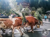 25IMG_20240928_111400_1-Kopie