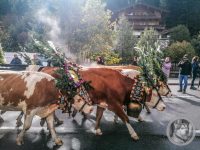 26IMG_20240928_111400-Kopie