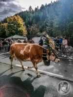 27IMG_20240928_111412-Kopie