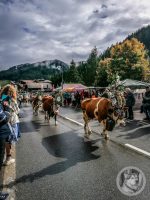 28IMG_20240928_111420-Kopie