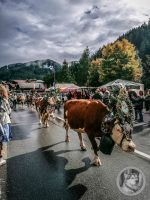 29IMG_20240928_111423-Kopie