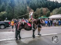 41IMG_20240928_113018-Kopie