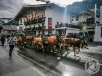 4IMG_20240928_101758-Kopie