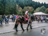 50IMG_20240928_113104-Kopie