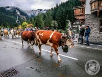 56IMG_20240928_113644-Kopie