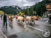 57IMG_20240928_113649-Kopie