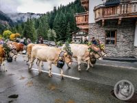 58IMG_20240928_113650_1-Kopie